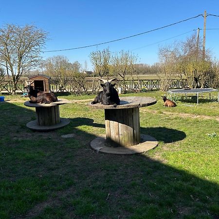 La Ferme Du Paradis Merris Dış mekan fotoğraf